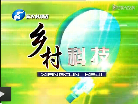 新農村對電商【河南益農】專題報道